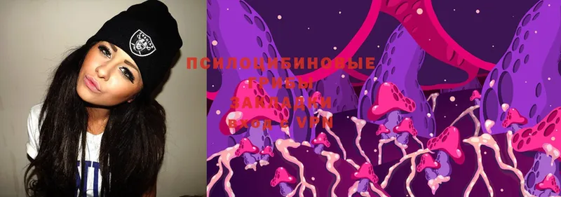 Галлюциногенные грибы MAGIC MUSHROOMS  гидра сайт  Родники 